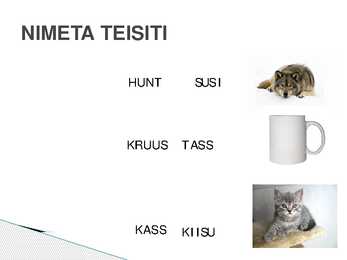 TEEKOND LÄBI S-HÄÄLIKU #12