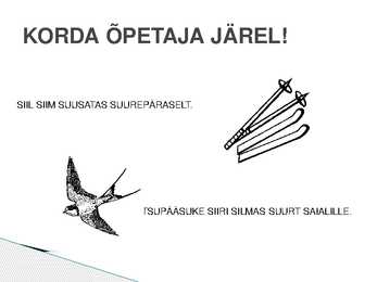 TEEKOND LÄBI S-HÄÄLIKU #5