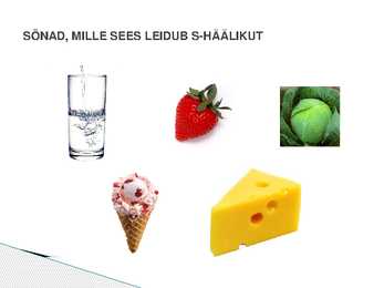 TEEKOND LÄBI S-HÄÄLIKU #8