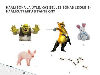 TEEKOND LÄBI S-HÄÄLIKU #9