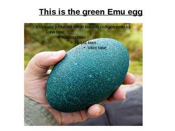 Emu #5