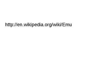 Emu #6