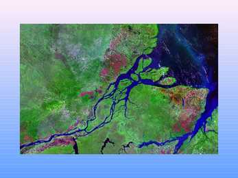 Amazon River #2