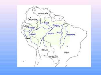 Amazon River #5