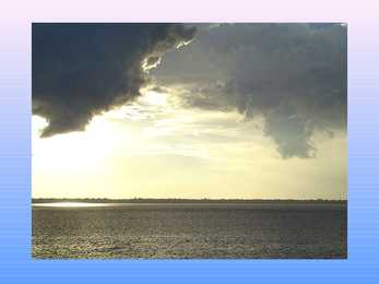 Amazon River #9