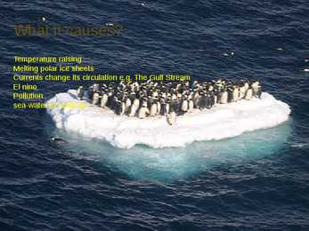 Global Warming #4