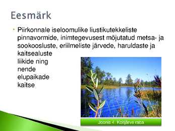 Põhja-Kõrvemaa looduskaitseala #5