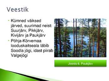 Põhja-Kõrvemaa looduskaitseala #7