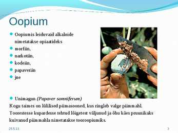 Alkaloid - oopium #3