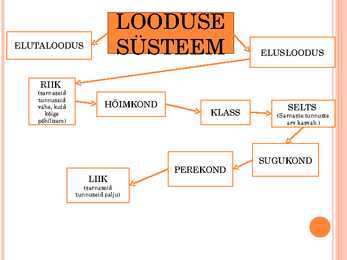 ELUSLOODUSE SÜSTEEM #2