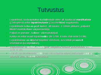 Lepatriinu - esitlus #2