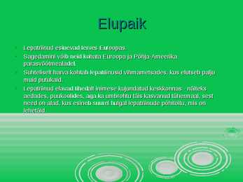 Lepatriinu - esitlus #4