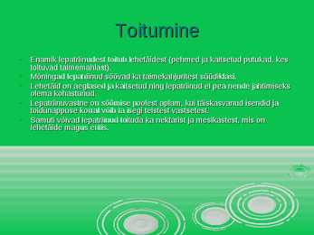 Lepatriinu - esitlus #5
