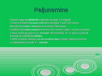 Lepatriinu - esitlus #6
