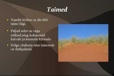 Namibi Kõrb #7
