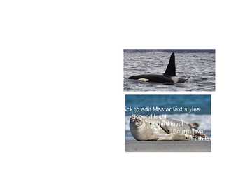 ISLAND powerpoint #5
