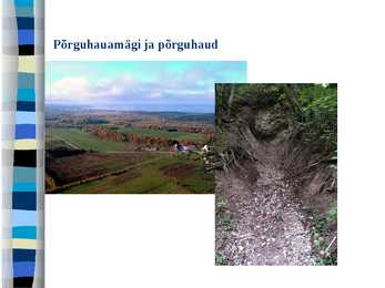 SINIMÄED #13