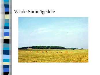 SINIMÄED #5