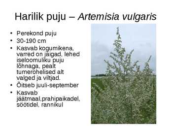 Korvõielised #20