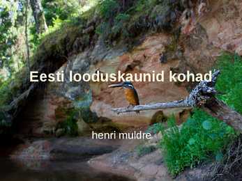 Eesti looduskaunid kohad Kontroritarkvara