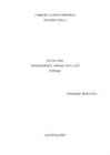 Intranet extranet-internet-WAN-LAN