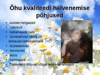 Õhusaaste #2