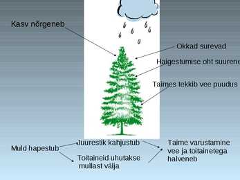 Õhusaaste #7