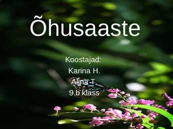 Õhusaaste