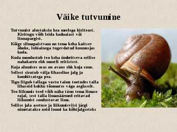 Teod ja limused #2
