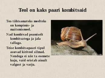 Teod ja limused #3
