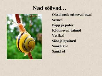 Teod ja limused #8