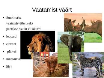 Lõuna- Aafrika Vabariik ja-Mauritiuse Vabariik #11