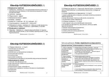 Ettevõtluse olemus #7
