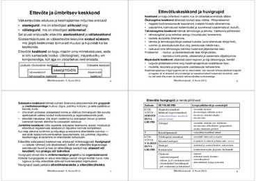 Ettevõtlus mikrotasandil #2