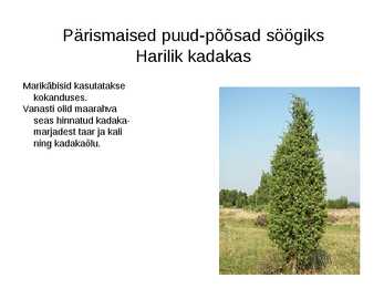 Puittaimed toiduks-ravimiks ja mürgiks-ettekanne #2