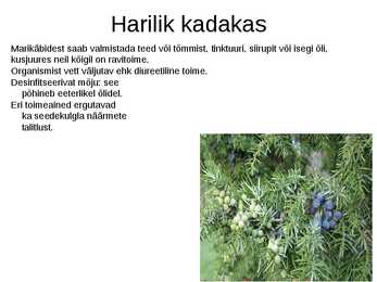 Puittaimed toiduks-ravimiks ja mürgiks-ettekanne #13