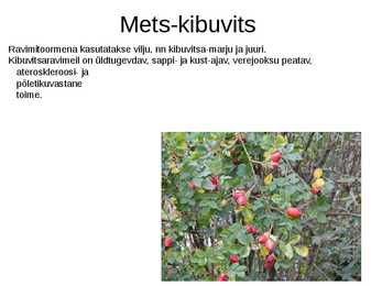 Puittaimed toiduks-ravimiks ja mürgiks-ettekanne #14