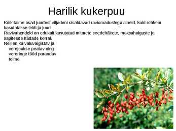 Puittaimed toiduks-ravimiks ja mürgiks-ettekanne #16