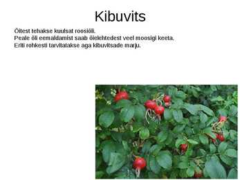 Puittaimed toiduks-ravimiks ja mürgiks-ettekanne #3