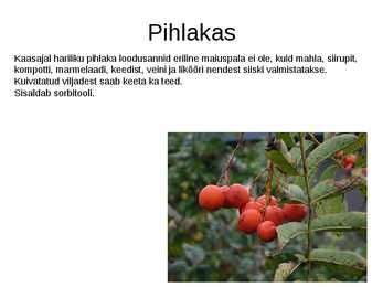 Puittaimed toiduks-ravimiks ja mürgiks-ettekanne #5