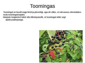 Puittaimed toiduks-ravimiks ja mürgiks-ettekanne #7