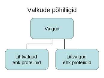 Valgud #5