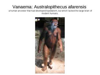 SP2 Inimsuhete ajalugu #4