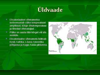 Ekvatoriaalne vihmamets #2