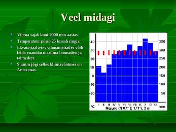 Ekvatoriaalne vihmamets #5