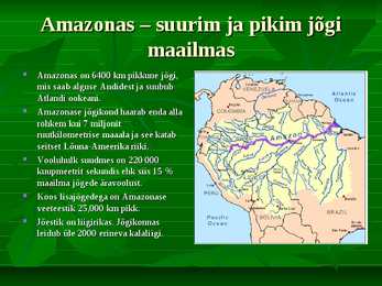 Ekvatoriaalne vihmamets #7
