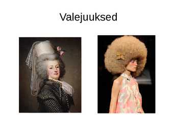 Rõivaste ajalugu ja tänapäev #10