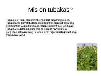Tubakas #2
