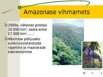 Keskkonnaprobleemid primaarsektoris #8