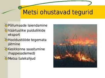 Keskkonnaprobleemid primaarsektoris #10